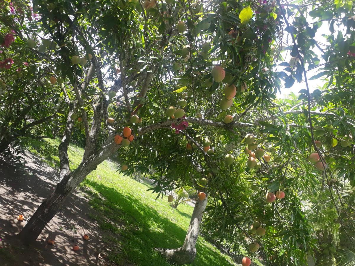 Igarassu Refugio Das Bouganvillea מראה חיצוני תמונה